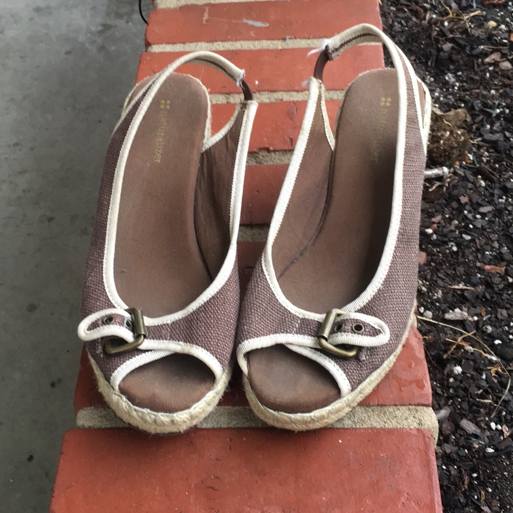 Nautralizer Wedges